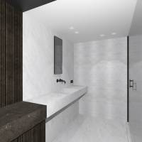 Matthieu VIALA-CARCASSONNE - laminimale